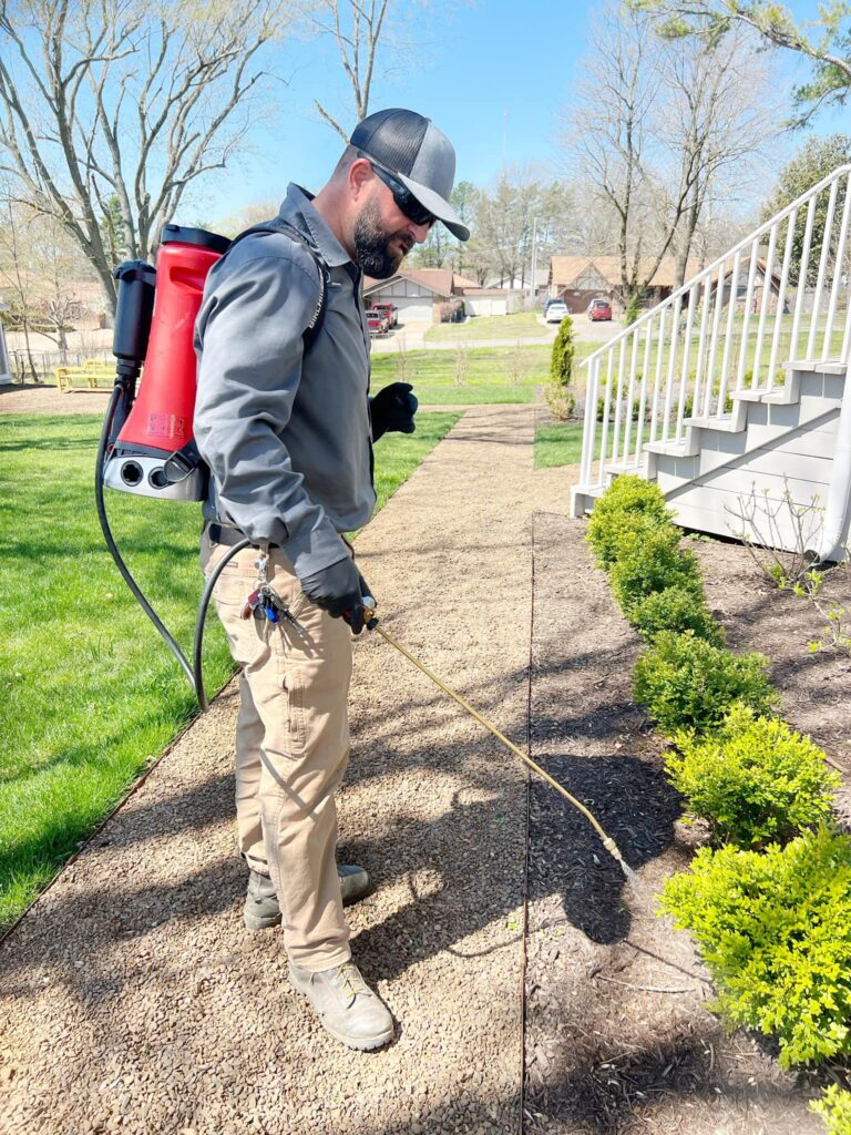 pest control expert in gentry ar