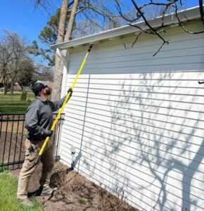 Trusted Pest Control Services In Bella Vista