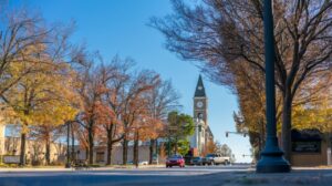 What to Expect from a Professional Pest Control Service in Fayetteville, AR